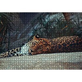 Cakapuzzle Kayanın Üzerinde Dinlenen Uykulu Jaguar 120 Parça Ahşap Puzzle