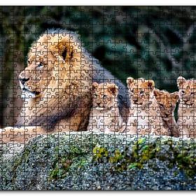 Cakapuzzle Kayanın Üzerinde Erkek Aslan Sevimli Yavruları Mdf 120 Parça Puzzle