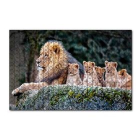 Cakapuzzle Kayanın Üzerinde Erkek Aslan ve Sevimli Yavruları 120 Parça Ahşap Puzzle