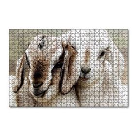 Cakapuzzle Keçi Yvruları Görseli 120 Parça Ahşap Puzzle