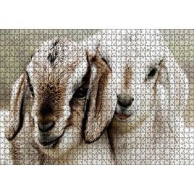 Cakapuzzle Keçi Yvruları Görseli 120 Parça Ahşap Puzzle