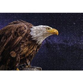 Cakapuzzle Kel Kartal Ahşap 500 Parça Puzzle