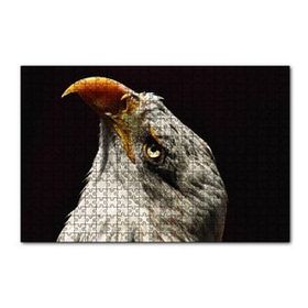 Cakapuzzle Kel Kartal Kuşu 120 Parça Ahşap Puzzle