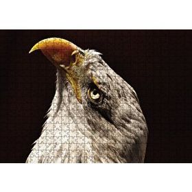 Cakapuzzle Kel Kartal Kuşu 120 Parça Ahşap Puzzle
