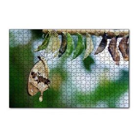 Cakapuzzle Kelebek Kozası ve Renkli Kelebek Görseli 255 Parça Puzzle