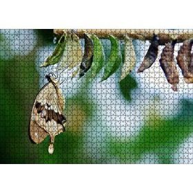 Cakapuzzle Kelebek Kozası ve Renkli Kelebek Görseli 255 Parça Puzzle