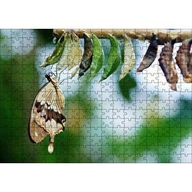 Cakapuzzle Kelebek Kozası ve Renkli Kelebek Görseli 255 Parça Puzzle