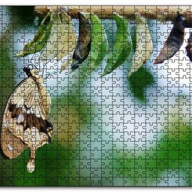 Cakapuzzle Kelebek Kozası ve Renkli Kelebek Görseli Mdf 120 Parça Puzzle