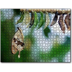 Cakapuzzle Kelebek Kozası ve Renkli Kelebek Görseli Mdf 120 Parça Puzzle