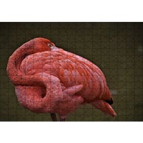 Cakapuzzle Kendine Sarılan Flamingo 120 Parça Ahşap Puzzle