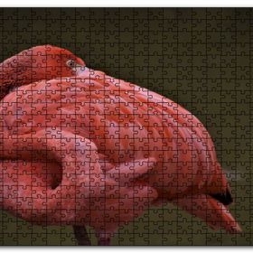 Cakapuzzle Kendine Sarılan Flamingo Mdf 1000 Parça Puzzle