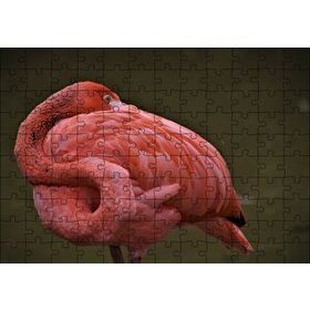 Cakapuzzle Kendine Sarılan Flamingo Mdf 120 Parça Puzzle