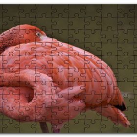 Cakapuzzle Kendine Sarınarak Dinlenen Flamingo Mdf 500 Parça Puzzle