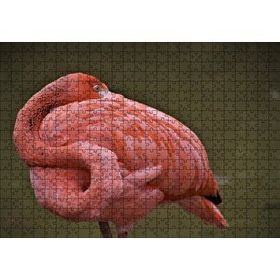 Cakapuzzle Kendine Sarınarak Dinlenen Flamingo Mdf 500 Parça Puzzle