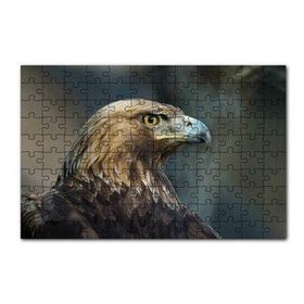 Cakapuzzle Keskin Bakışlı Kartal Yakın Profil 120 Parça Ahşap Puzzle