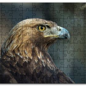Cakapuzzle Keskin Bakışlı Kartal Yakın Profil Mdf 1000 Parça Puzzle