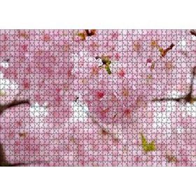 Cakapuzzle Kiraz Çiçeği Görseli 120 Parça Puzzle