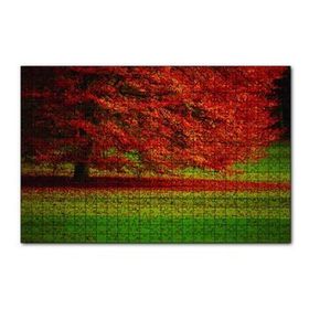 Cakapuzzle Kırmızı Ağaç Sonbahar 120 Parça Ahşap Puzzle