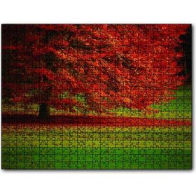 Cakapuzzle Kırmızı Ağaç Sonbahar 255 Parça Ahşap Puzzle