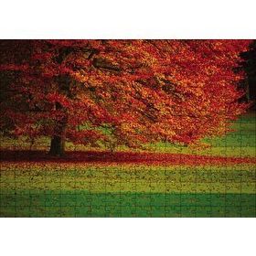 Cakapuzzle Kırmızı Ağaç Sonbahar 255 Parça Ahşap Puzzle