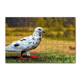Cakapuzzle Kırmızı Ayaklı Damalı Beyaz Güvercin 120 Parça Ahşap Puzzle