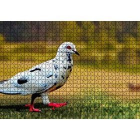 Cakapuzzle Kırmızı Ayaklı Damalı Beyaz Güvercin 120 Parça Ahşap Puzzle