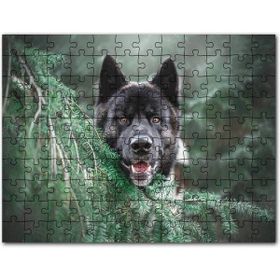 Cakapuzzle Kırmızı Ayaklı Damalı Beyaz Güvercin Mdf 255 Parça Puzzle