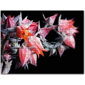 Cakapuzzle Kırmızı Bardak Çiçekleri Karanlık Arkaplan Mdf 500 Parça Puzzle