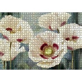 Cakapuzzle Kırmızı Beyaz Kasımpatı Çiçekleri 1000 Parça Ahşap Puzzle