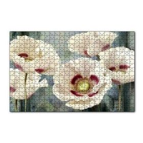 Cakapuzzle Kırmızı Beyaz Kasımpatı Çiçekleri 120 Parça Ahşap Puzzle