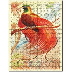 Cakapuzzle Kırmızı Cennet Kuşu Görsel 500 Parça Ahşap Puzzle