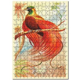 Cakapuzzle Kırmızı Cennet Kuşu Görsel Mdf 1000 Parça Puzzle