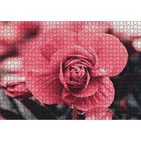 Cakapuzzle Kırmızı Çiçek ve Damlalar Yakın Plan 120 Parça Ahşap Puzzle