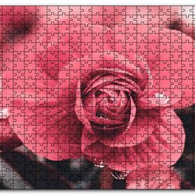 Cakapuzzle Kırmızı Çiçek ve Damlalar Yakın Plan Mdf 120 Parça Puzzle