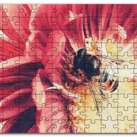 Cakapuzzle Kırmızı Çiçekten Polen Toplayan Arı Mdf 255 Parça Puzzle