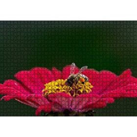 Cakapuzzle Kırmızı Çiçekten Polen Toplayan Balarısı Mdf 1000 Parça Puzzle