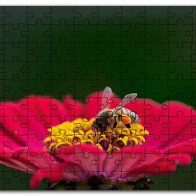 Cakapuzzle Kırmızı Çiçekten Polen Toplayan Balarısı Mdf 500 Parça Puzzle