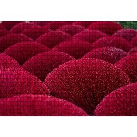 Cakapuzzle Kırmızı Dekoratif Küresel Objeler Mdf 1000 Parça Puzzle