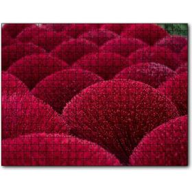 Cakapuzzle Kırmızı Dekoratif Küresel Objeler Mdf 120 Parça Puzzle