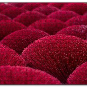 Cakapuzzle Kırmızı Dekoratif Küresel Objeler Mdf 500 Parça Puzzle