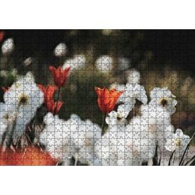 Cakapuzzle Kırmızı Gelincikler Ahşap 500 Parça Puzzle
