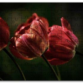Cakapuzzle Kırmızı Gelincikler Karanlık Arkaplan Mdf 120 Parça Puzzle