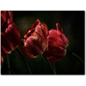 Cakapuzzle Kırmızı Gelincikler Karanlık Arkaplan Mdf 120 Parça Puzzle