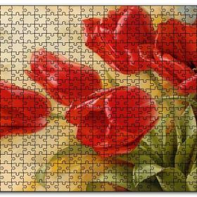 Cakapuzzle Kırmızı Gelincikler Sarı Arkaplan Mdf 120 Parça Puzzle