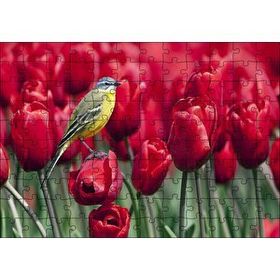 Cakapuzzle Kırmızı Gelincikler Üzerindeki Sarı Kuş 120 Parça Ahşap Puzzle
