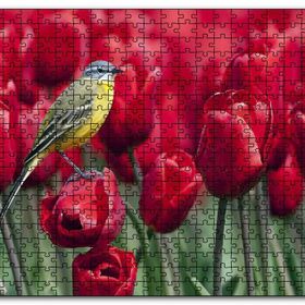 Cakapuzzle Kırmızı Gelincikler Üzerindeki Sarı Kuş Mdf 120 Parça Puzzle
