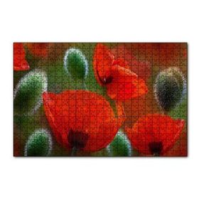 Cakapuzzle Kırmızı Gelincikler Yakın Çekim 120 Parça Ahşap Puzzle