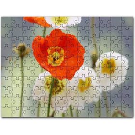 Cakapuzzle Kırmızı Gelincikler Yakın Çekim Mdf 1000 Parça Puzzle