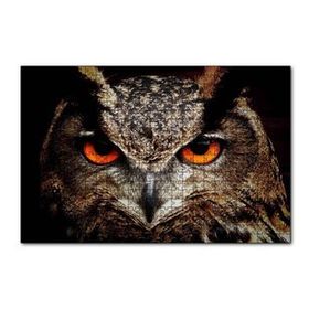 Cakapuzzle Kırmızı Gözlü Baykuş Yakın Çekim 120 Parça Ahşap Puzzle