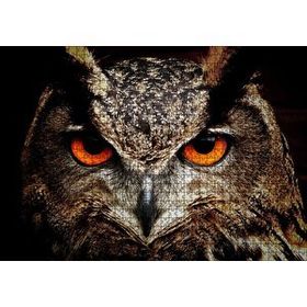 Cakapuzzle Kırmızı Gözlü Baykuş Yakın Çekim 120 Parça Ahşap Puzzle